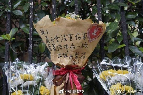 绿军官方：球队已经裁掉JD